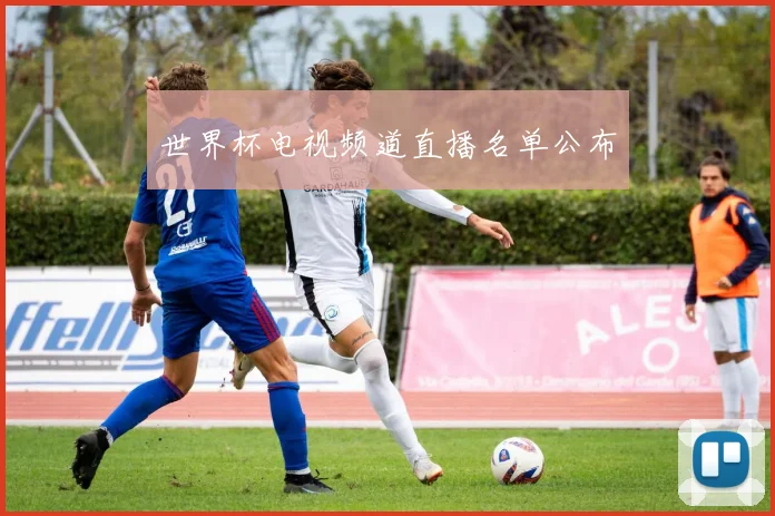 世界杯电视频道直播名单公布