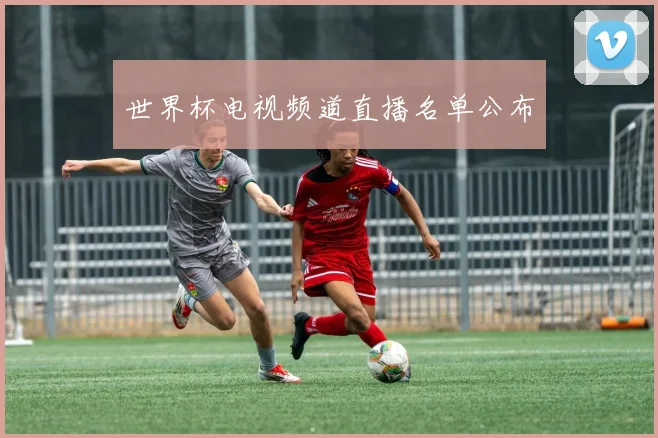 世界杯电视频道直播名单公布